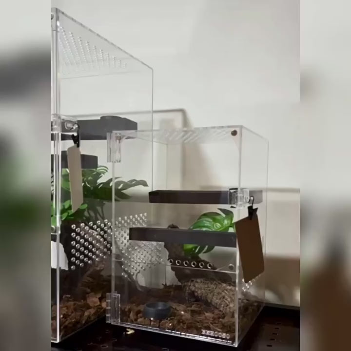 一體式壓克力飼養盒