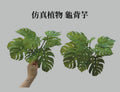 仿真假龜背芋